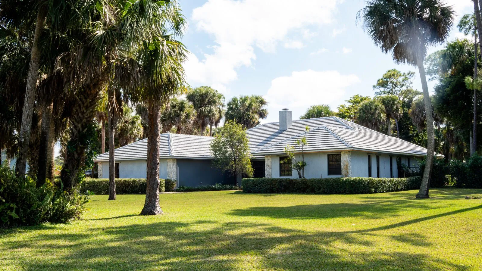 Low Florida home with a white flat tile roof among palms